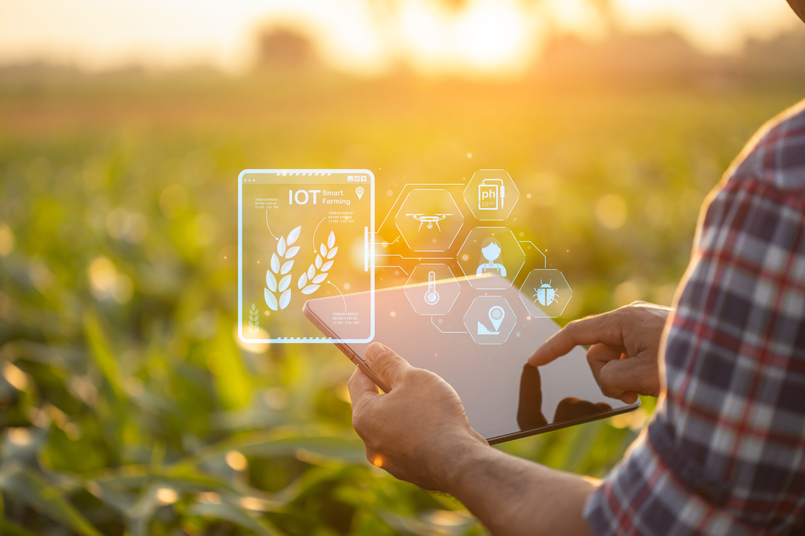 Die Rolle der Landwirtschaft – Wasserverbrauch und Verantwortung
